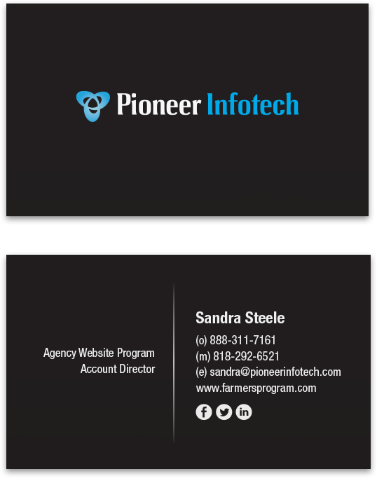 Pioneer Infotech Card Logo Image