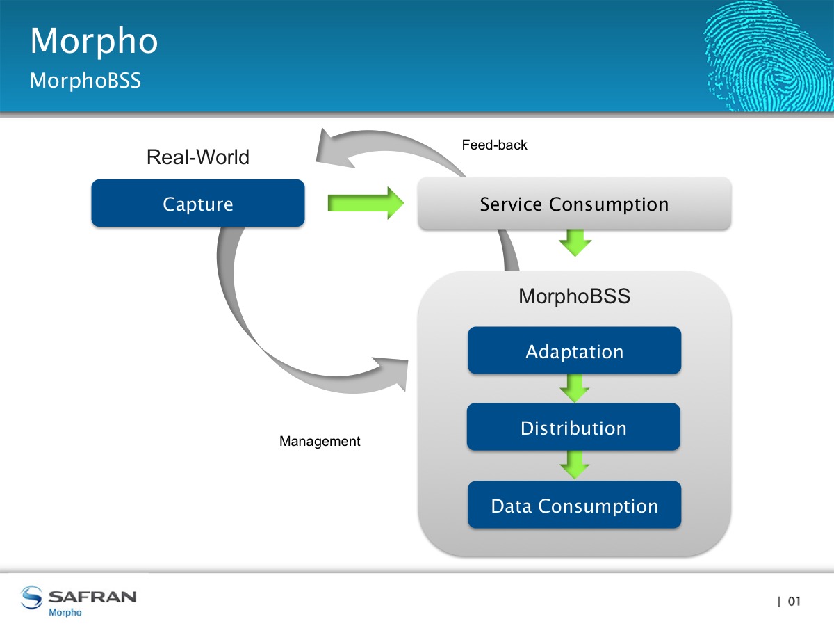 Morpho Slide 1