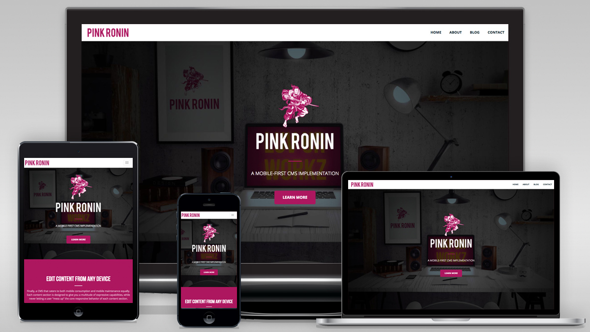 Pink Ronin Slide 1